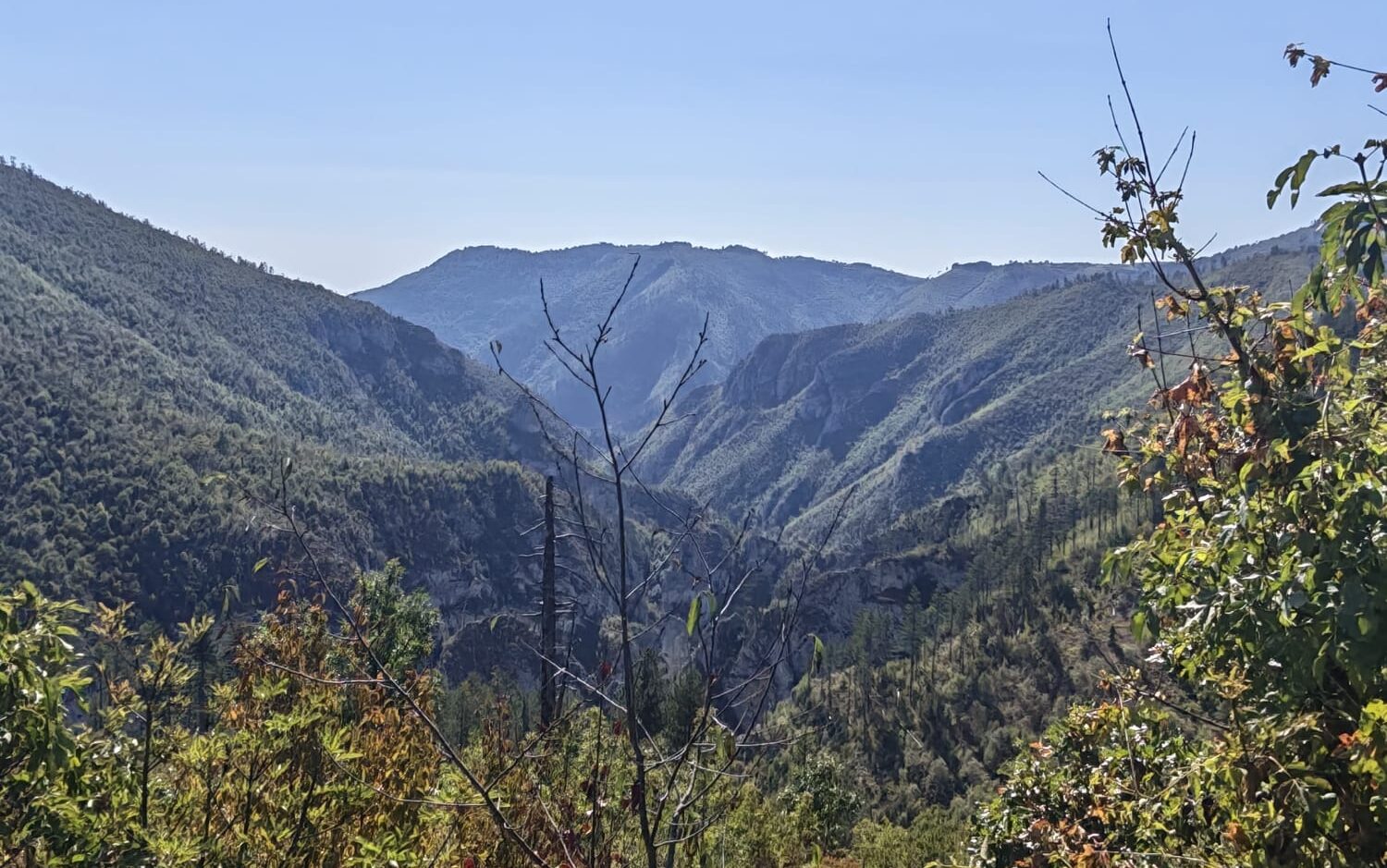 Forested rocky slopes of the Sklopovi landscape on Tara Mountain in western Serbia.