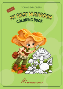 Apricot Shelter - Woodland Mushrooms