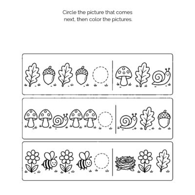MATCH THE SHADOWS (1) Forest Floor Activity Book: Ages 4–5