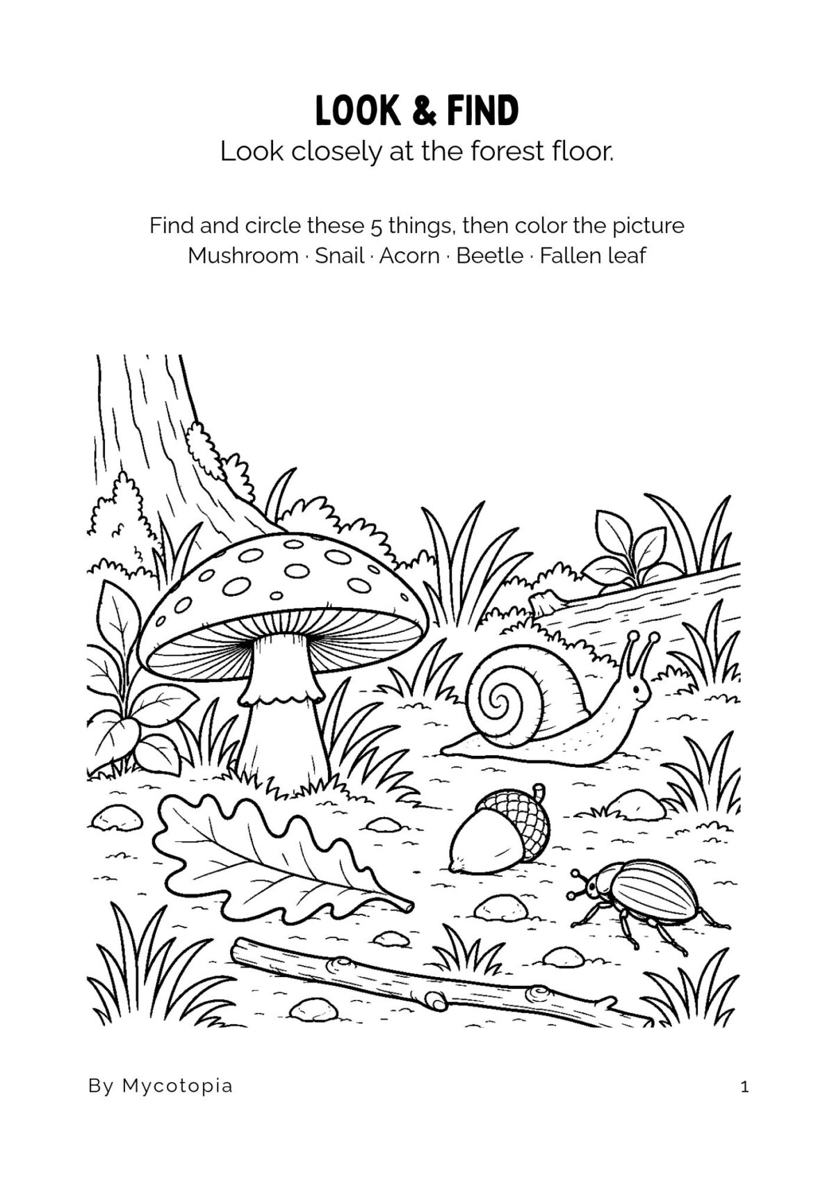 MATCH THE SHADOWS Forest Floor Activity Book: Ages 4–5
