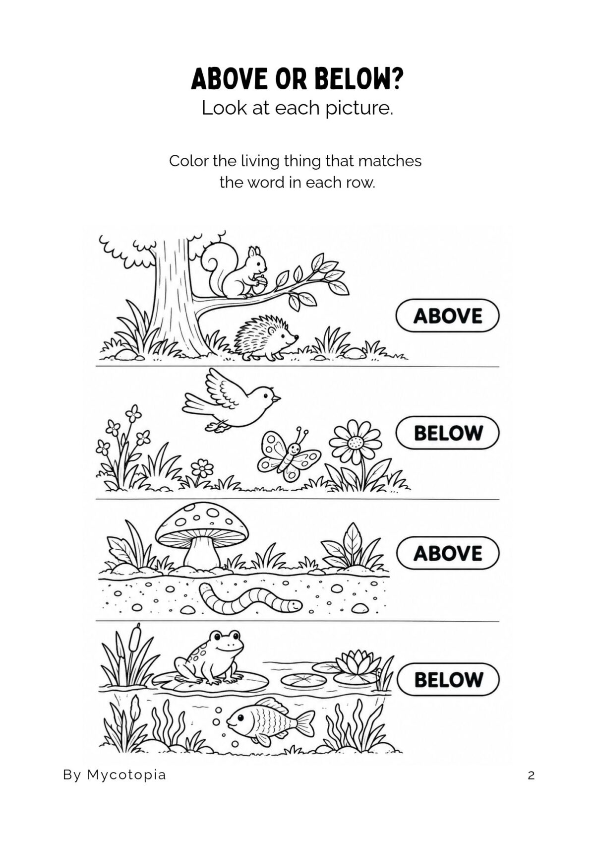 MATCH THE SHADOWS (2) My First Nature Math Activity Book: Ages 4–5