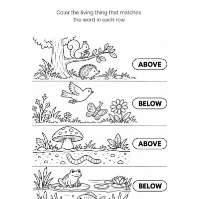 MATCH THE SHADOWS (2) My First Nature Math Activity Book: Ages 4–5