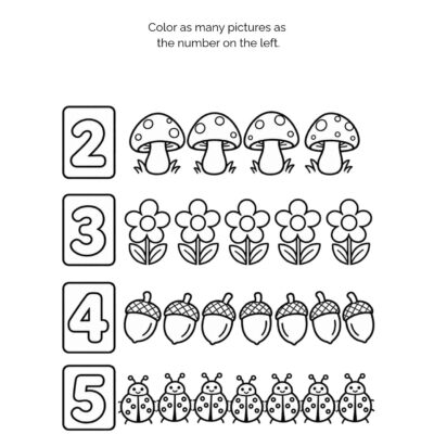MATCH THE SHADOWS (3) My First Nature Math Activity Book: Ages 4–5