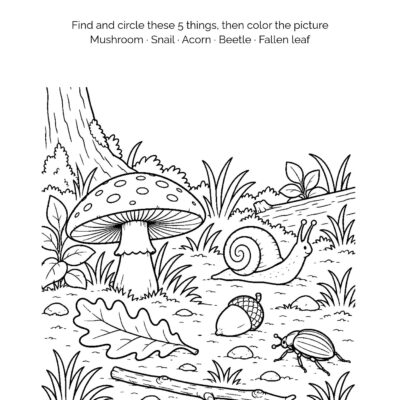 MATCH THE SHADOWS Forest Floor Activity Book: Ages 4–5